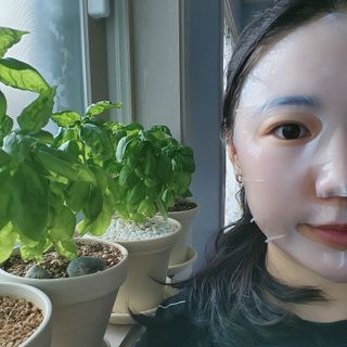 제주인디 폴리인디고 리프레쉬 바이오셀룰로오스 마스크팩 — 5점을 준 리뷰어가 2021년 11월 올린 사용 사진