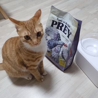 수덩이님이 올린 리뷰 사진 1