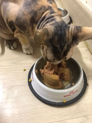 이아님이 올린 리뷰 사진 4