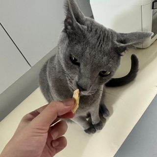 jeongee님이 올린 리뷰 사진 3
