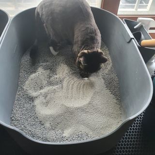 징니คʕ•ﻌ•ʔค님이 올린 리뷰 사진 1