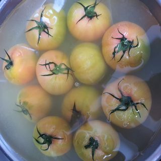 시루아 💛님이 올린 리뷰 사진 2