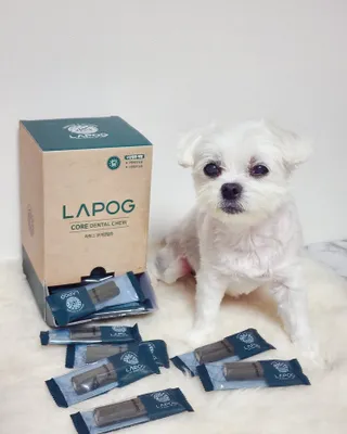 송린깡님이 올린 리뷰 사진 2