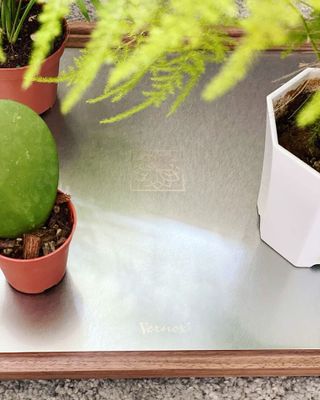 [버녹스] 트레이+홈&amp;리빙+스테인리스/월넛 우드, S400250mm / L450300mm, 골드/실버+1EA — 5점을 준 리뷰어가 2021년 8월 올린 사용 사진