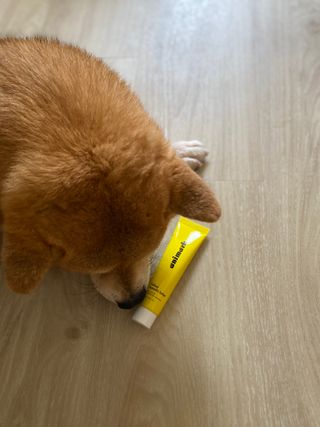 StellaTan님이 올린 리뷰 사진 3