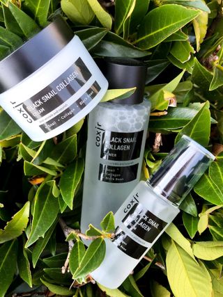 Black Snail Collagen Trio Set [Toner, Serum and Cream] — 5점을 준 리뷰어가 2021년 9월 올린 사용 사진