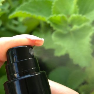 더 퓨어 로터스 제주 식물 선크림 / 제주 연잎 &amp; 동백 미스트 / 순수한 연꽃 어메니티 세트 — 4점을 준 리뷰어가 2022년 9월 올린 사용 사진