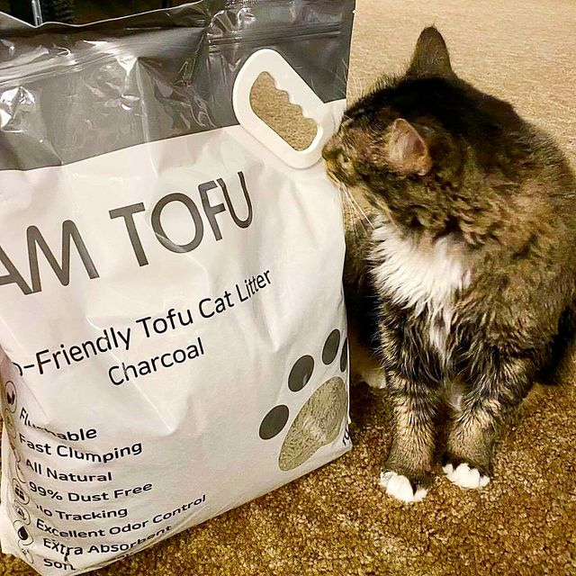 KAMY 's ZOO I AM TOFU 프리미엄 천연 두부 고양이 쓰레기 숯 10LB 리뷰 사진