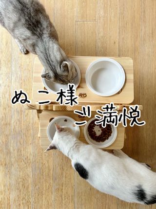 나꿈세 반려동물 원목 높이조절 양면 식기 — 5점을 준 리뷰어가 2023년 5월 올린 사용 사진