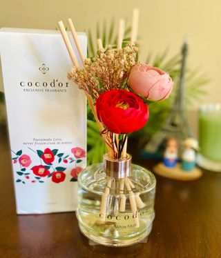 코코도르 디퓨저 120ml, 200ml, 500ml — 5점을 준 리뷰어가 2022년 2월 올린 사용 사진