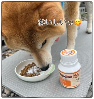 zoe님이 올린 리뷰 사진 4