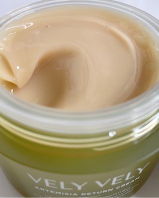 VELY VELY Artemisia Return Cream — 5점을 준 리뷰어가 2021년 4월 올린 사용 사진