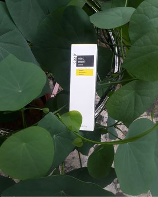 Lê Hồng Minh님이 올린 리뷰 사진 2