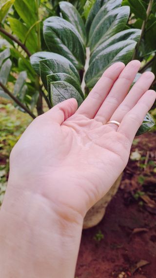 NgNga님이 올린 리뷰 사진 3