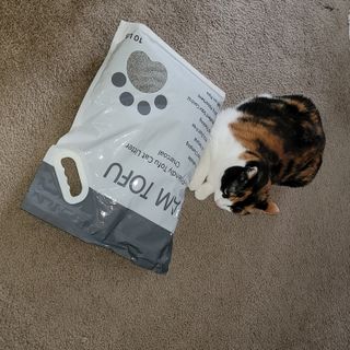 카미스쥬 KAMY 's ZOO I AM TOFU 프리미엄 천연 두부 고양이 쓰레기 숯 10LB — 4.5점을 준 리뷰어가 2021년 3월 올린 사용 사진