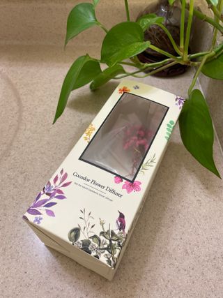 플라워 디퓨저 / 6.7oz [코코피치] — 4점을 준 리뷰어가 2022년 8월 올린 사용 사진