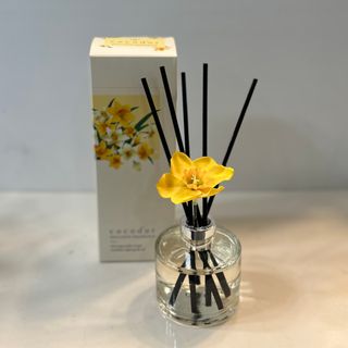 Setare님이 올린 리뷰 사진 3