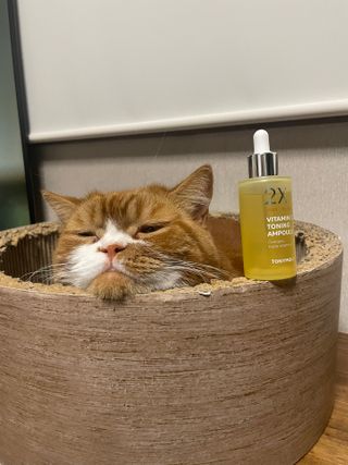 kamuna님이 올린 리뷰 사진 1