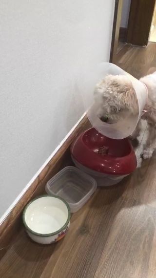 Vanarchie4991님이 올린 리뷰 사진 3