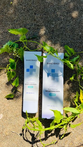 바노바기 코스메틱 바노바기 밀크씨슬 리페어 시카 폼 클렌저 플러스 120ml + 선스크린 플러스 50ml — 5점을 준 리뷰어가 2023년 8월 올린 사용 사진