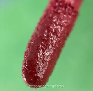 zoomzoommacaron님이 올린 리뷰 사진 1