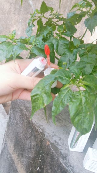 Phượng님이 올린 리뷰 사진 2