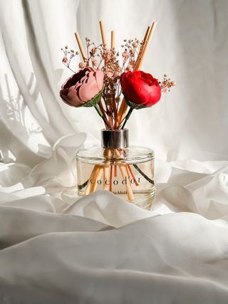 코코도르 디퓨저 120ml, 200ml, 500ml — 5점을 준 리뷰어가 2022년 1월 올린 사용 사진