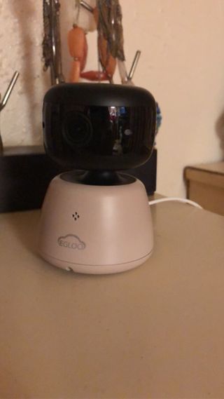 온습도 모니터와 스마트 리모컨이 탑재된 EGLOO cam S4 1080P Wi-Fi 스마트 카메라 — 5점을 준 리뷰어가 2021년 9월 올린 사용 사진