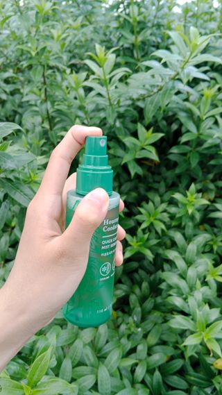 Vy님이 올린 리뷰 사진 3