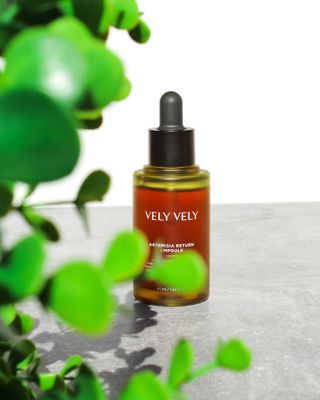 Lintu님이 올린 리뷰 사진 1