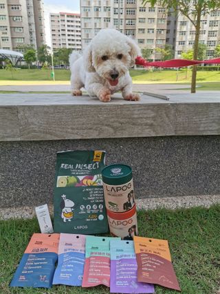 ohanabxtk님이 올린 리뷰 사진 2
