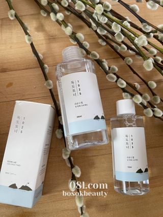 라운드 랩 1025 독도 토너 100ml — 5점을 준 리뷰어가 2021년 2월 올린 사용 사진