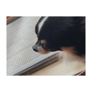 めいこ님이 올린 리뷰 사진 1