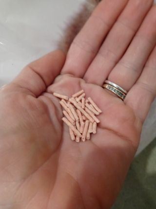 TristaNash님이 올린 리뷰 사진 3