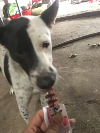 Hồng Nguyễn님이 올린 리뷰 사진 1