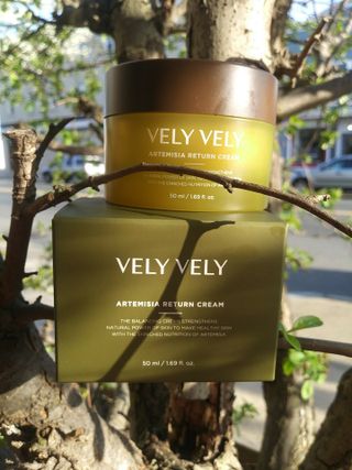 VELY VELY Artemisia Return Cream — 4점을 준 리뷰어가 2021년 4월 올린 사용 사진