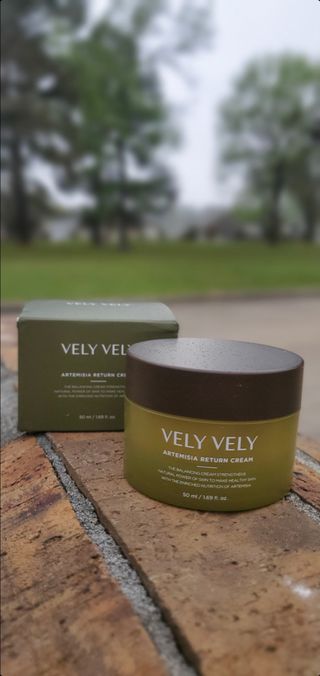 VELY VELY Artemisia Return Cream — 1점을 준 리뷰어가 2021년 4월 올린 사용 사진