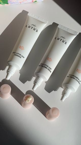 더 퓨어 로터스 제주 식물 선크림 / 제주 연잎 &amp; 동백 미스트 / 순수한 연꽃 어메니티 세트 — 5점을 준 리뷰어가 2022년 12월 올린 사용 사진