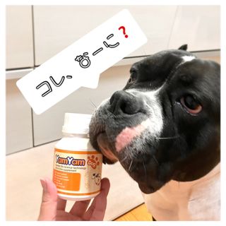 ジャスネコ님이 올린 리뷰 사진 3