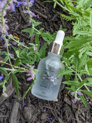 Vita Snail Cream + Hyaluronic 6000 ampoule — 4점을 준 리뷰어가 2021년 8월 올린 사용 사진