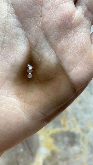 Meemee님이 올린 리뷰 사진 3