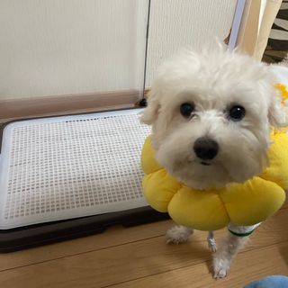 うゆ님이 올린 리뷰 사진 1