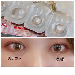 𖠚ᐝmogtan🌱𓂃 𓈒𓏸님이 올린 리뷰 사진 1