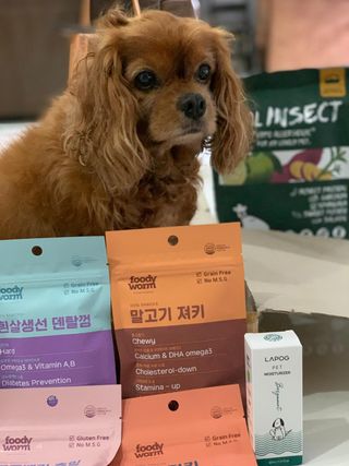 jenteo27님이 올린 리뷰 사진 3