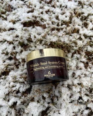 [THE SKIN HOUSE] Wrinkle Snail System Cream 100ml — 5점을 준 리뷰어가 2022년 1월 올린 사용 사진