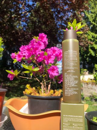 VELY VELY Artemisia Balance Essence — 5점을 준 리뷰어가 2021년 5월 올린 사용 사진