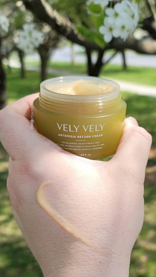 VELY VELY Artemisia Return Cream — 3.5점을 준 리뷰어가 2021년 4월 올린 사용 사진