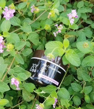 Pink Collagen Line [Toner, Serum, Cream] — 5점을 준 리뷰어가 2021년 10월 올린 사용 사진