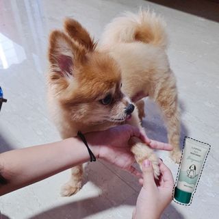 LiviaOng님이 올린 리뷰 사진 2