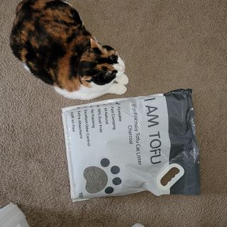 카미스쥬 KAMY 's ZOO I AM TOFU 프리미엄 천연 두부 고양이 쓰레기 숯 10LB — 4.5점을 준 리뷰어가 2021년 3월 올린 사용 사진